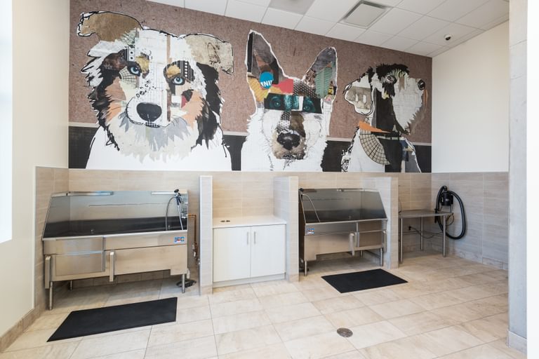 Radiant dog wash stations
