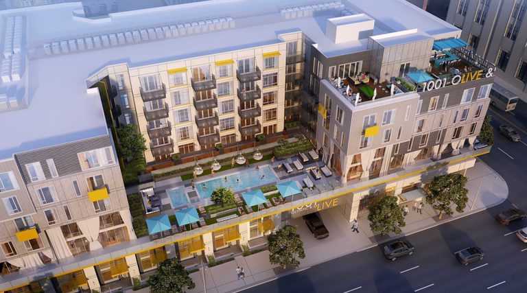 Olympic and Olive Renderings