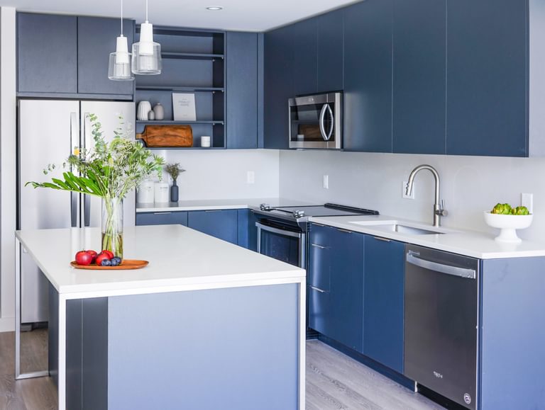 The Lively Kitchen 03248